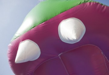 Buikschuifbaan Krokodil