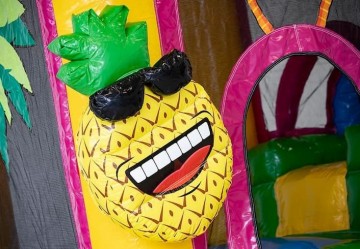 Jumpings flamingo7jpg